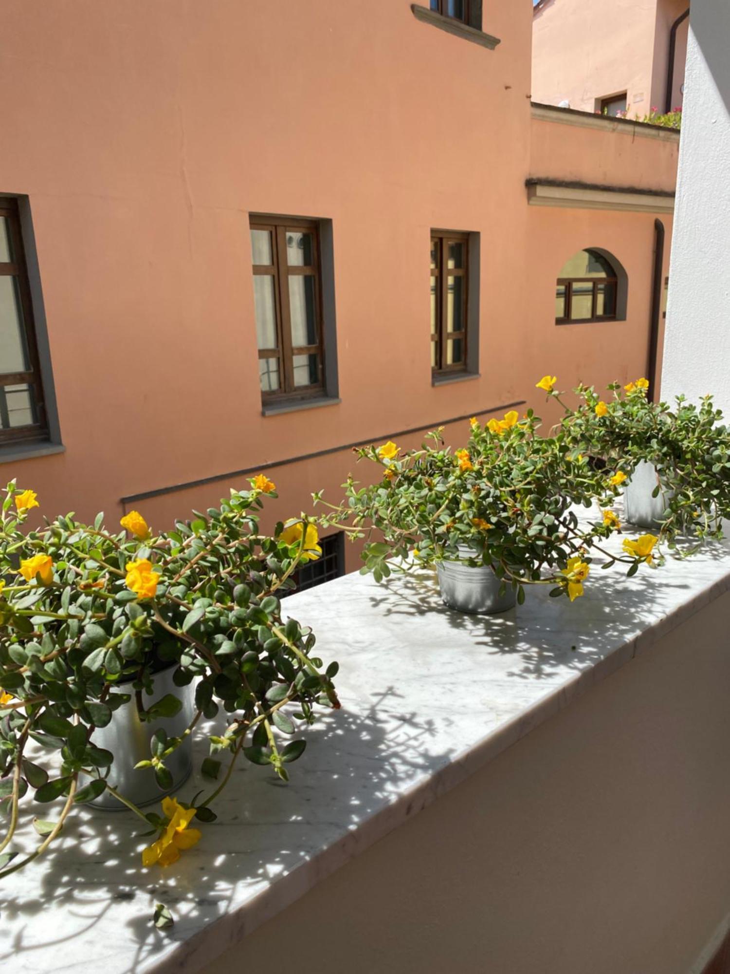 Blom Apartments Pisa Exterior foto